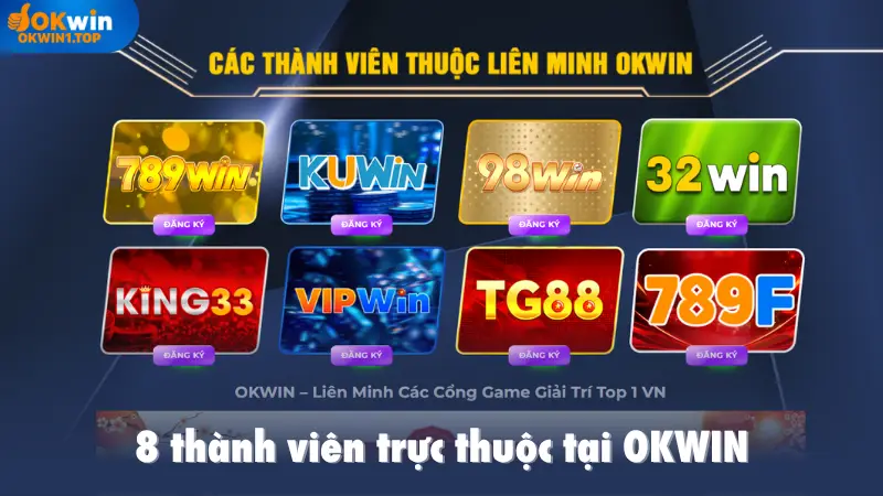 8 thành viên trực thuộc tại OKWIN
